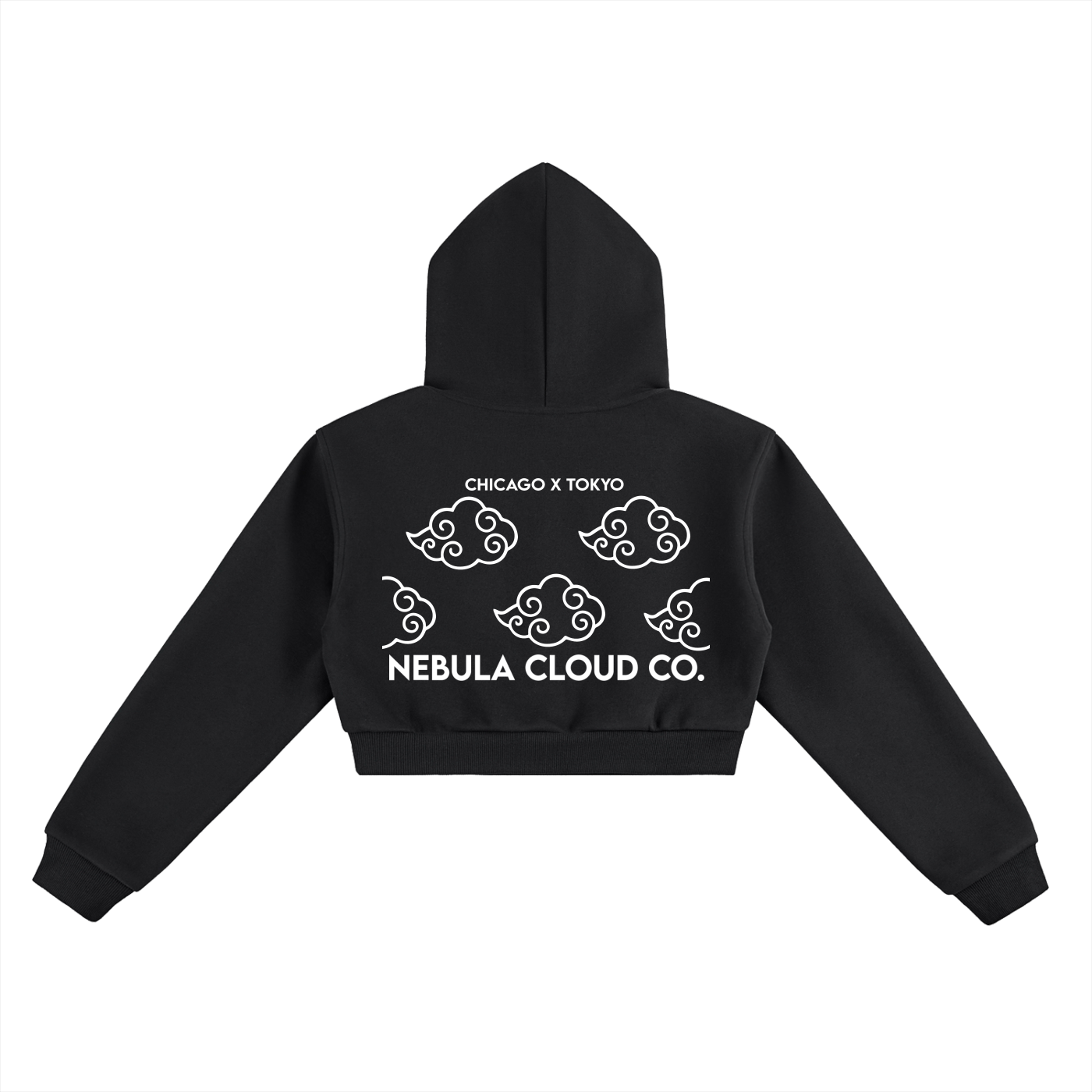 CLEAR SKIES CROPPED HOODIE (W)