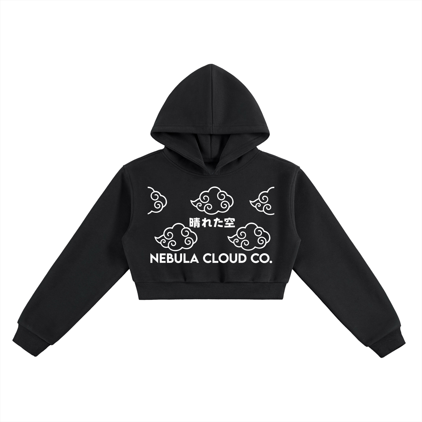 CLEAR SKIES CROPPED HOODIE (W)