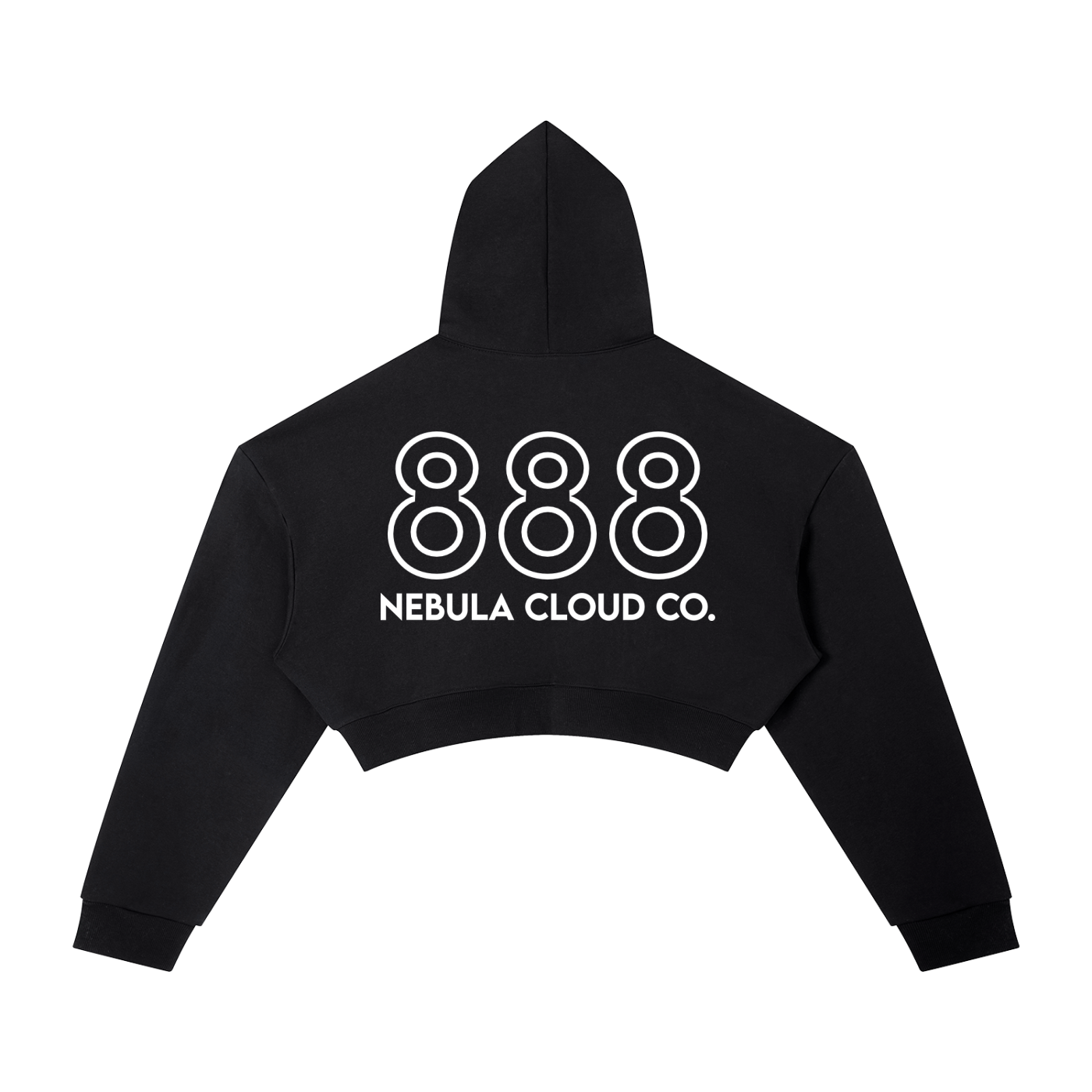 CLEAR SKIES 888 CROPPED HOODIE (W)