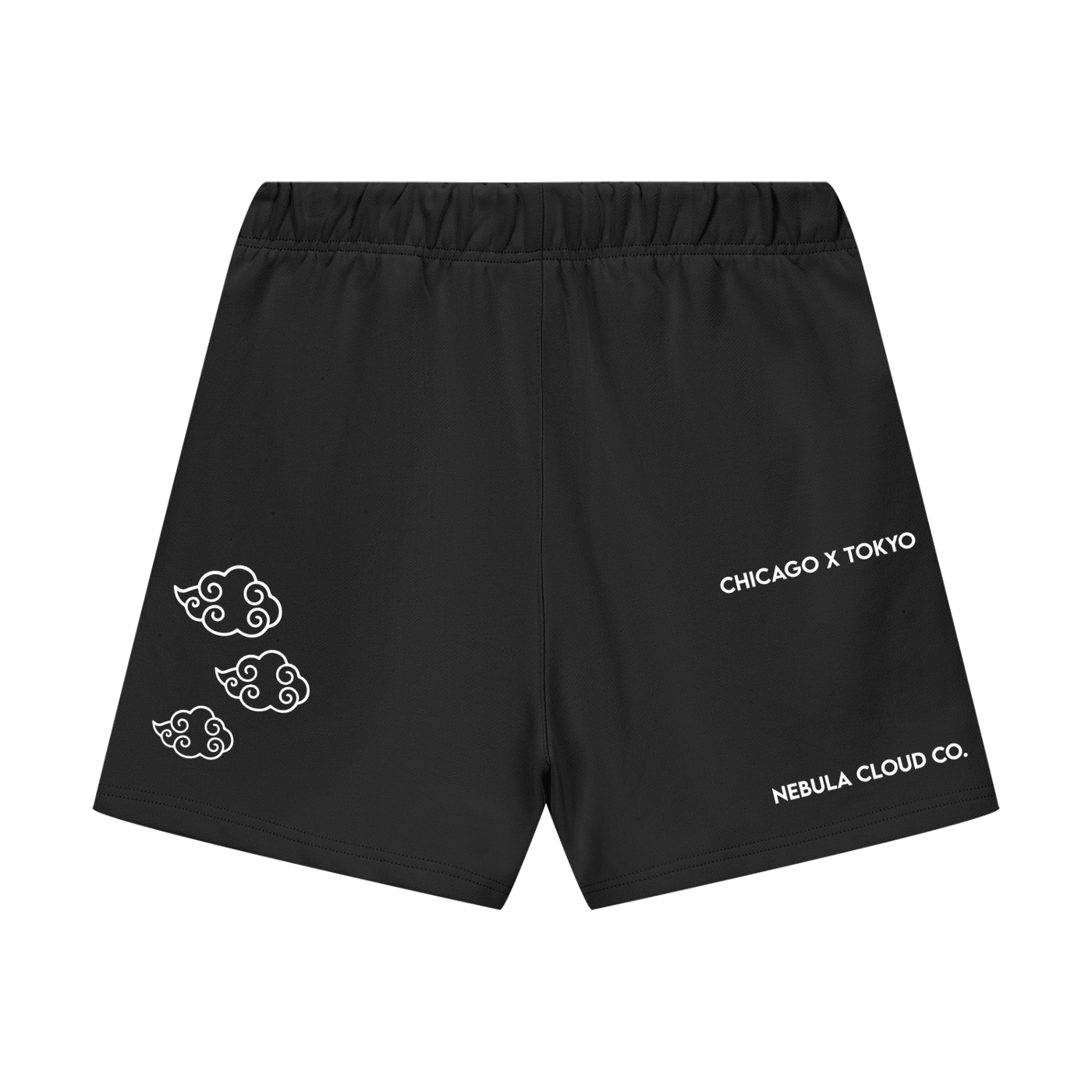 CLEAR SKIES SHORTS (M)